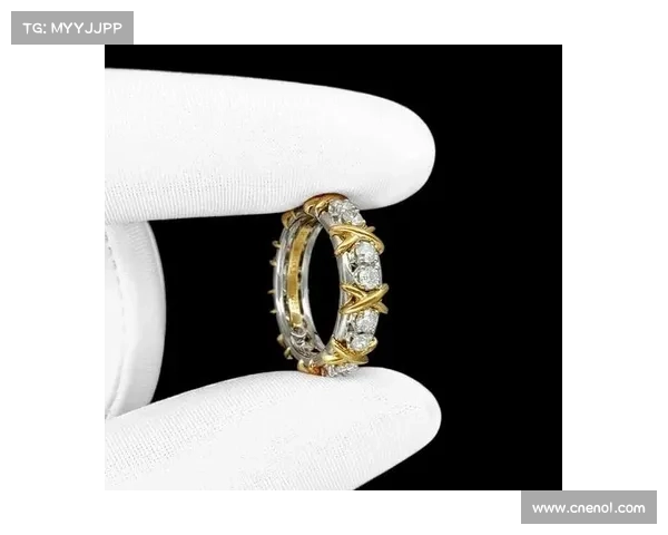 如何通过设计和符号识别皇家贵族戒指的身份象征与历史背景