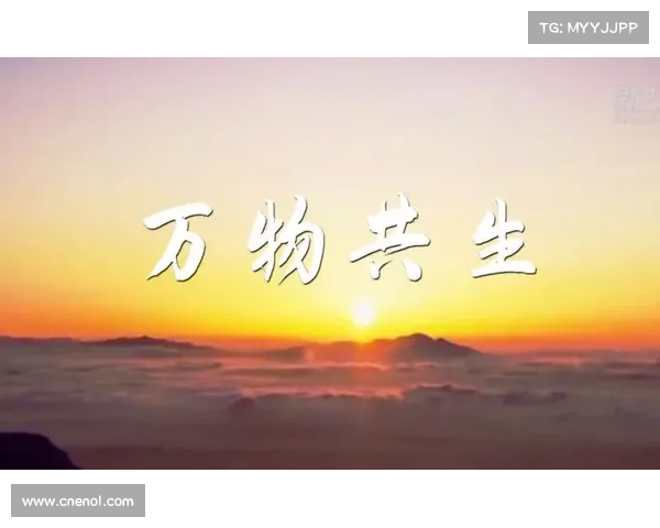 蝴蝶平原：探索人类与自然和谐共生的可持续未来之道