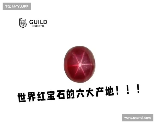 揭开闪耀红色徽章的神秘面纱探索新奖励与隐藏内容的精彩世界