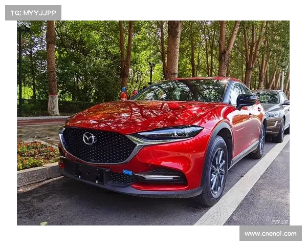 如何科学评估科尔多巴后卫的实力和级别标准 如何科学评估科尔多巴后卫的实力和级别标准